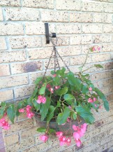 18144 - brick bracket (hanging basket)